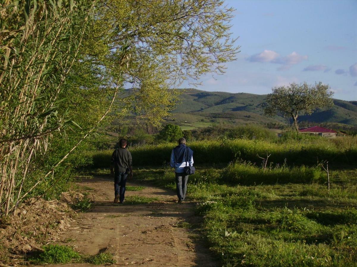 Quinta Do Barracao Da Vilarica Lodões Dış mekan fotoğraf